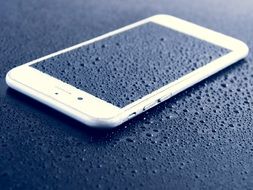 wet white Iphone