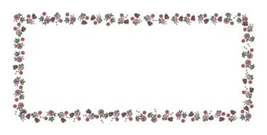 Flower Colorful Fun Frame