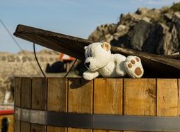 Bear Bears Funny Holiday White