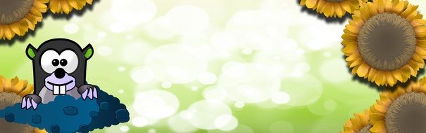 Banner Header Sun Flower Mole