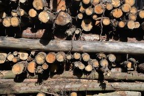 Pile Of Wood Aesthetic Background