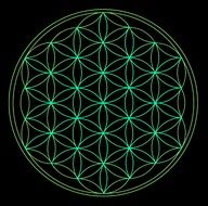 green neon flower of life