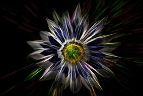 Flower Structure Photo Montage