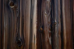 Texture Wood Background