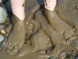 Feet Sand Beach Summer Sea