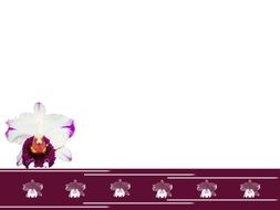 Background Orchid Illustration