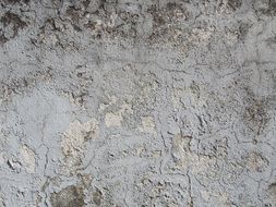 Grunge Wall Texture Brown