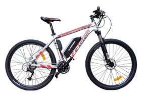 Mountain Bike Mtb Electric Bike