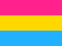 Flag Pansexuality Pansexual