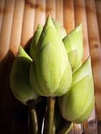 lotus bouquet on wooden table