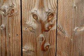 Wood Plank Board Knot Texture