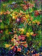 Flower Hope Colors Abstract