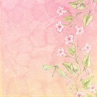 Spring Background Soft Pink