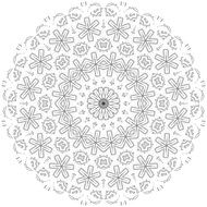 floral pattern on the white background