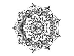 sketch of an ornamental mandala flower