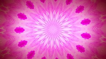 pink background with floral artwork