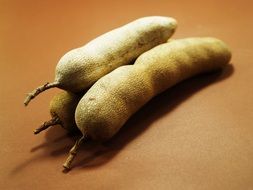 tamarind fruit on the surface