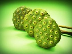 green lotus seeds on green background