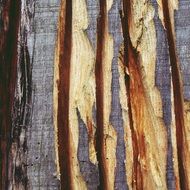 wooden background with stripes