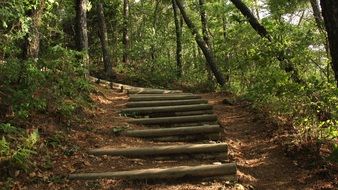 Mountain Mountain Trail Stairs