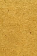 parchment paper