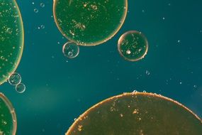 oil spots on a blue background