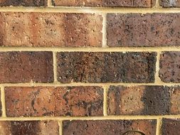 Brick Wall Bricks Wall