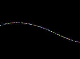 Line Ornament Abstract