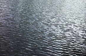 Water Ripple Wave Liquid