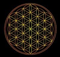 yellow digital flower of life