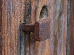 rusty nail in the wood board