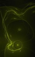 green fractal absract background