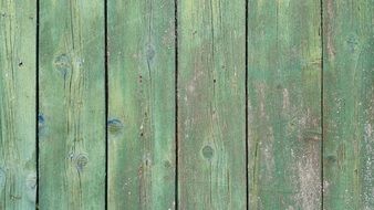 green wooden fence