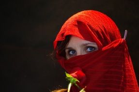 Arabian Mare Red Burka