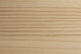 Wood Texture Background Hardwood