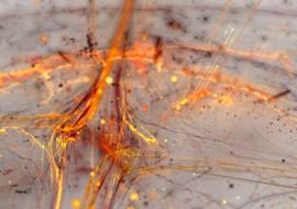 Abstract Chaos Contrast Colorful