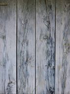 Background Wood Texture Door