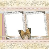 Background Butterfly Frame