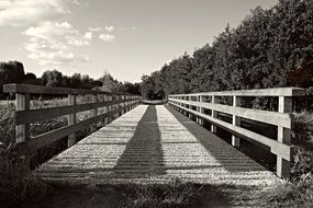 Bridge Structure Crossing