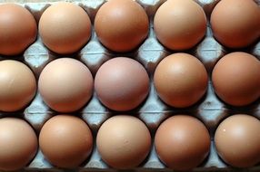 Eggs Rows Patterns Nutrition