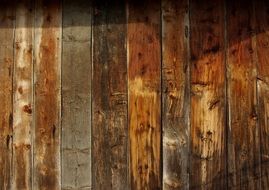 Wood Board Structure Surface