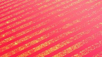 Two Tone Pink Gold Yellow