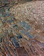 Stone Path Brick Path Texture