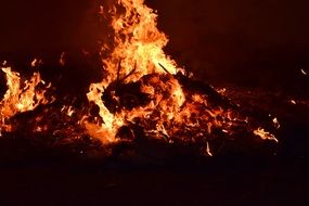 Fire Flame Burn Wood Fire
