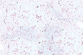 Abstract Tile Mosaic Background