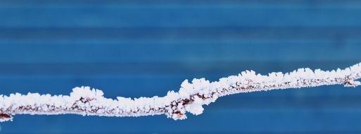 Branch Road Snow Winter Nature