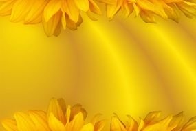 Background Yellow Floral