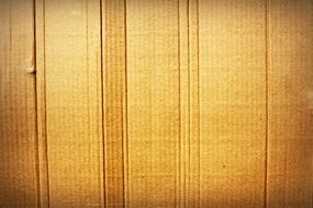 cardboard box with lines