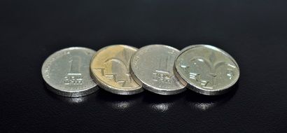 new shekel coins