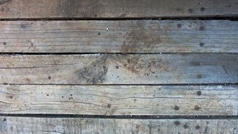 Background Texture Wood Design